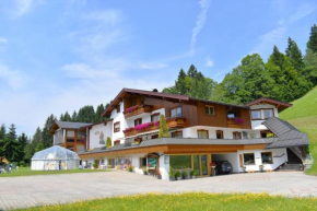 Ferienwohnung Saalbach Fieberbrunn Fieberbrunn